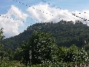 IMG_20220801_151143.jpg