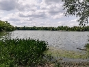 Auensee-Leipzig-Parkeisenbahn_50620.jpg