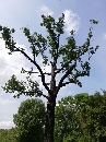Auensee-Leipzig-Parkeisenbahn_50818.jpg