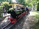 Auensee-Leipzig-Parkeisenbahn_51624.jpg