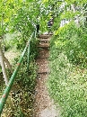 Auensee-Leipzig-Parkeisenbahn_52335.jpg