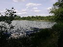 Auensee-Leipzig-Parkeisenbahn_55621.jpg