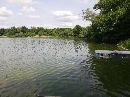 Auensee-Leipzig-Parkeisenbahn_55854.jpg