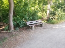 Grosse-Wiese-im-Rosental-Leipzig-Auenwald-70321.jpg