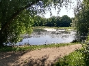 Grosse-Wiese-im-Rosental-Leipzig-Vorderer-Rosentalteich-Auenwald-64543.jpg