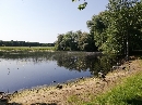 Grosse-Wiese-im-Rosental-Leipzig-Vorderer-Rosentalteich-Auenwald-64714.jpg