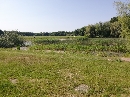 Grosse-Wiese-im-Rosental-Leipzig-Vorderer-Rosentalteich-Auenwald-64754.jpg