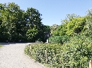 Grosse-Wiese-im-Rosental-mit-Zooschaufenster-Leipzig-Auenwald-63236.jpg
